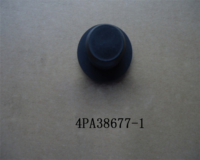 CAP DRAIN SOCKET FBQ60DV14