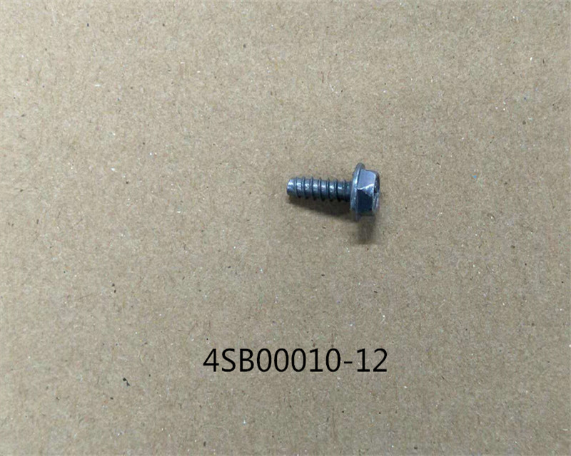 Tapping Screw