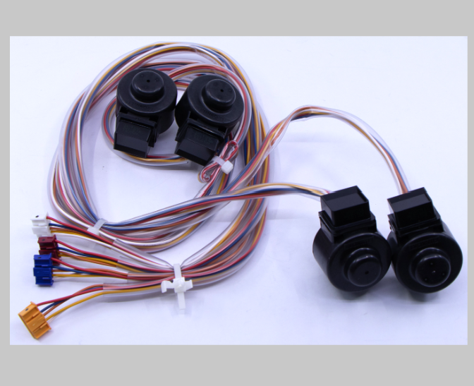 COIL, MOTOR VALVE 4MKS80FSG